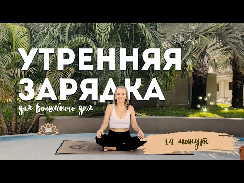 Видео: Утренняя зарядка для всех #1 | Любой уровень подготовки