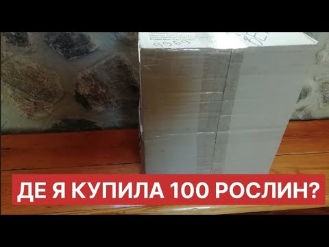 Видео: Чому я не можу зупинитися купляти рослини? 🤪 Розпаковка