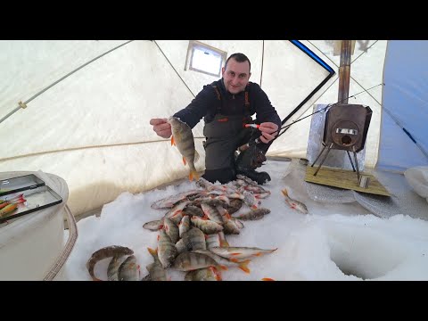 Видео: Вот это да! От этих приманок окунь сходит с ума. Мешок окуня за полчаса.
