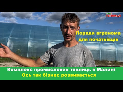 Видео: Промислові теплиці Мрія - поради агронома для початківців