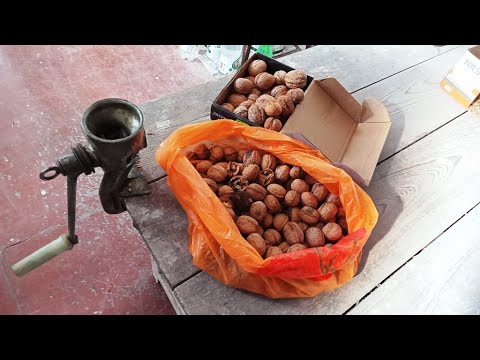 Видео: ОРЕХОКОЛ из старой мясорубки