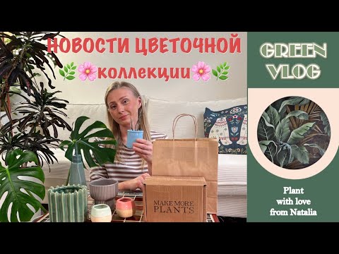 Видео: НОВОСТИ ЦВЕТОЧНОЙ КОЛЛЕКЦИИ 🌿 | НОВИНКИ КАШПО ГОРШКИ РАСТЕНИЯ