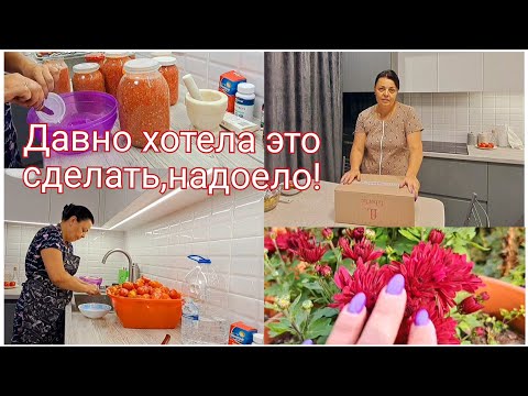 Видео: ХРОНИКА ДНЯ/распаковка/что НАМ осталось ТО и копали/ЦЕЛЫЙ таз ХРЕНОВИНЫ/стыдно ПОЕХАЛИ ИХ ПОКУПАТЬ