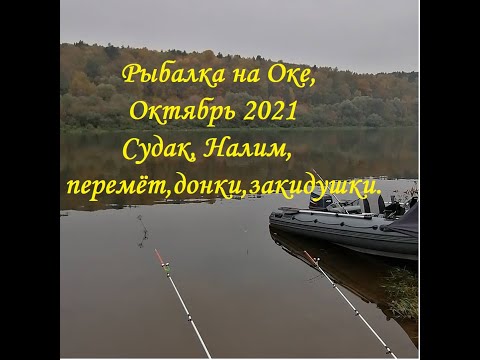 Видео: Рыбалка на Оке октябрь, перемёт, донки, закидушки, налим,судак.