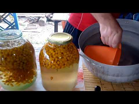 Видео: Закрутили компот из облепихи на зиму