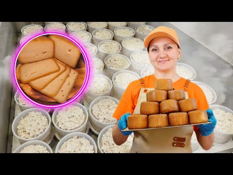 Видео: Как сделать сыр "Мини Качотта Кофейная" : детальный рецепт + работа с формовочным столом от Экополис