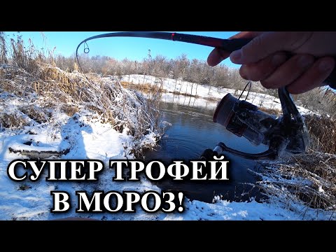 Видео: ЗИМА! Ловля щуки в МОРОЗ -10! Супер Трофей!