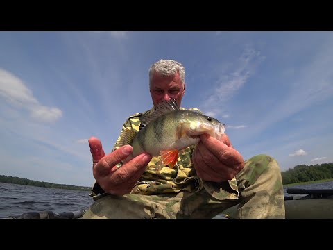 Видео: Нахимовское озеро. Рыбалка 21.07.25.