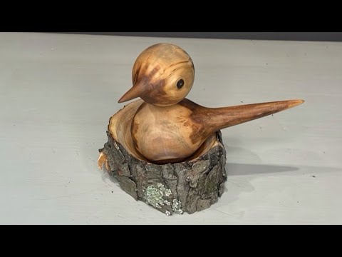 Видео: Они такие популярные!