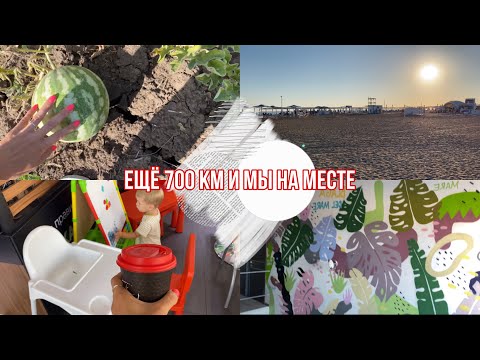 Видео: Урра, спустя 2600 км мы в Благовещенской 🌊