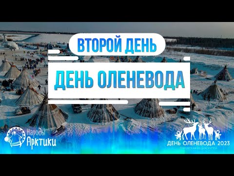 Видео: Праздник тундровиков в Тарко-Сале. День второй
