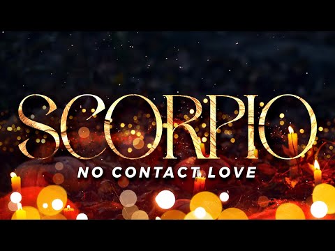 Видео: СКОРПИОН Нет контакта — «Моя жизнь кажется пустой без тебя, Скорпион» | 30 октября — 5 ноября