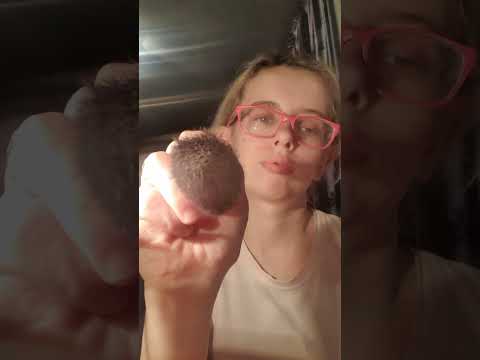 Видео: Мой первый асмр макияж