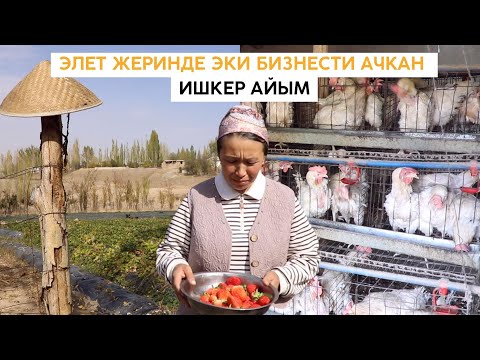 Видео: Элет жеринде эки бизнести ачкан ишкер айым