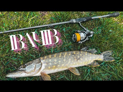 Видео: КОЛИ БУДУТЬ ЩУЧІ РОЗДАЧІ? + РОЗІГРАШ 🎁