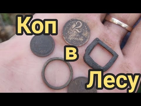 Видео: WW2 Коп 2025.Находки в лесу летом .Поиск с Макро Мульти Крузером и Симплексом .