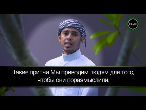 Видео: Прекрасное чтение суры «аль-Хашр» - Салим Баханан