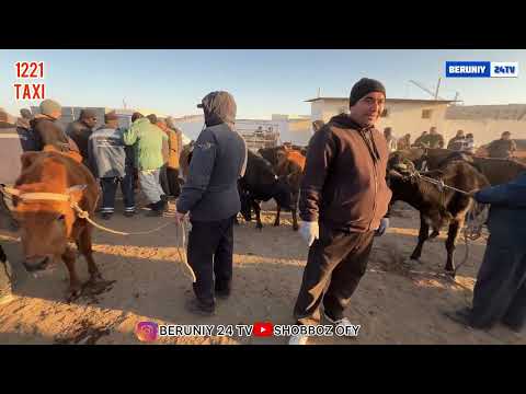 Видео: БЕРУНИЙ СИГИР БОЗОРИ 3 КИСМ 09.11.2025