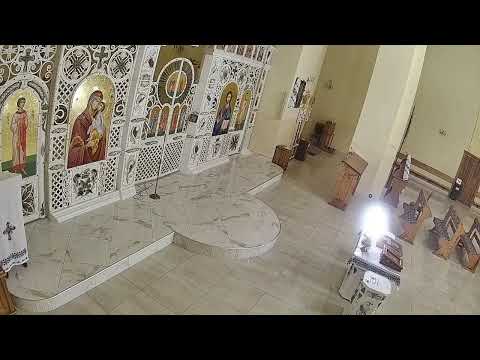 Видео: Трансляція