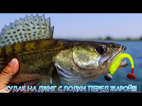 Видео: Судак на джиг с лодки! Нужно успеть перед жарой!