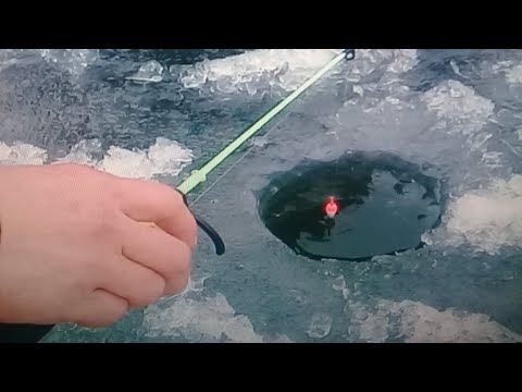 Видео: Поиск и ловля карпа зимой! Карп щекочет нервы! Итог......