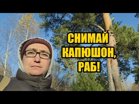 Видео: Почему женщина разрушит тебя в 90% случаев