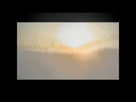 Видео: Н.В.Гоголь.Тарас Бульба. Часть 2