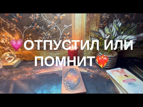 Видео: 12 ноября 2025 г.