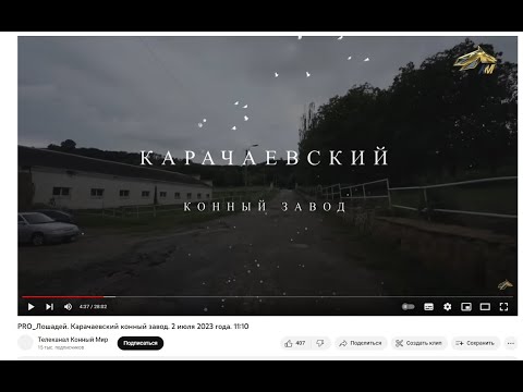 Видео: Разбор лжи о мифической породе лошадей на "Телеканале конный мир" и обращение к некоторым гражданам