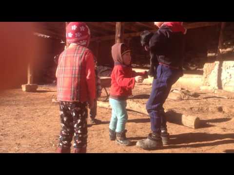 Видео: Мурдаш Алай Монокристалл