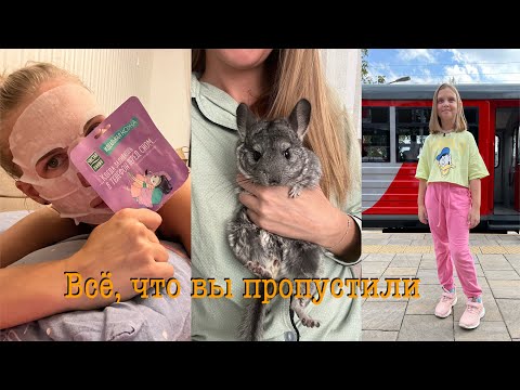 Видео: Привет октябрь🍁🤗У нас появился питомец🐭Как прошёл месяц после летнего отдыха🍂😌