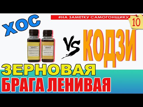 Видео: Зерновая ЛЕНИВАЯ брага. Ячменно-ржаной дистиллят легко! Сравнение ХОС на ферментах и дрожжей кодзи.
