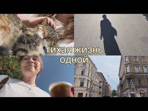 Видео: тихая жизнь одной | продолжение длинной рабочей недели, выходной с котами