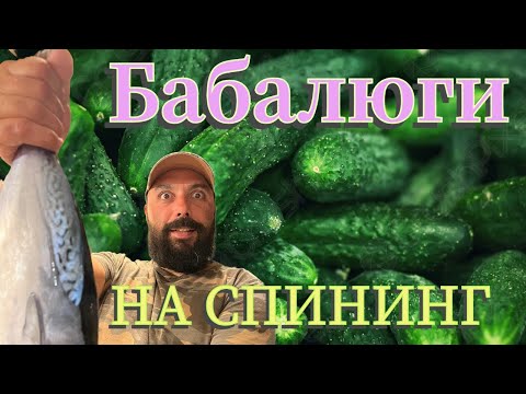 Видео: Бабалюги На Спининг Teaser