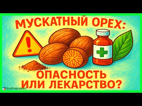 Видео: Мускатный орех: вся правда о пользе и опасности. Как не навредить здоровью?