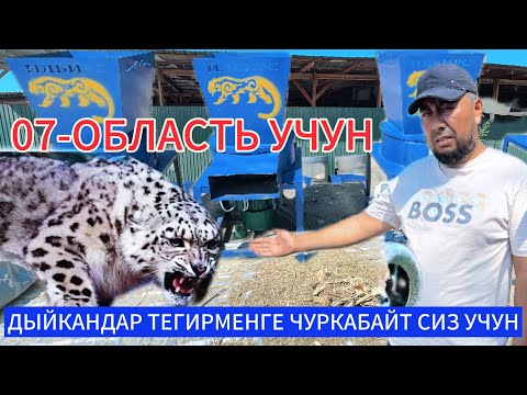 Видео:  ИЛБИРС ДРОБИЛКАЛАР ЧЫГЫП ЭМИ ТЕГИРМЕНГЕ БАРЫШТЫН КЕРЕГИ БАРБЫ?