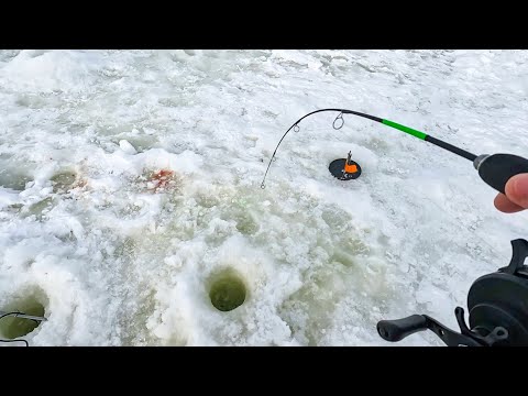 Видео: ЛУНКА КИПИТ от БОРЬБЫ с РЫБОЙ. Рыбалка на блесну и силикон со льда в 2024