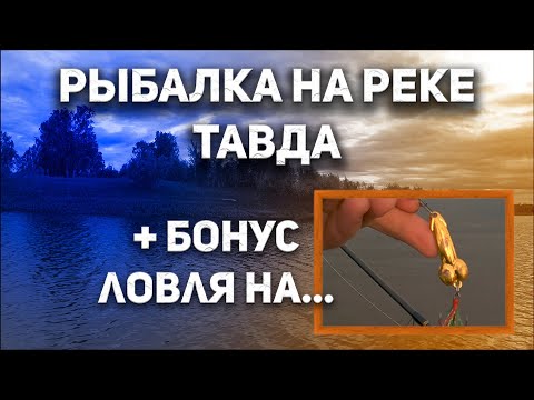 Видео: ЭТА ПРИМАНКА ВЫЛОВИЛА всю рыбу. Спиннинг на реке Тавда, старицы. Щука, окунь. Рыбалка в Тюмени 2021.