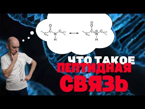 Видео: Что такое пептидная связь? Душкин объяснит