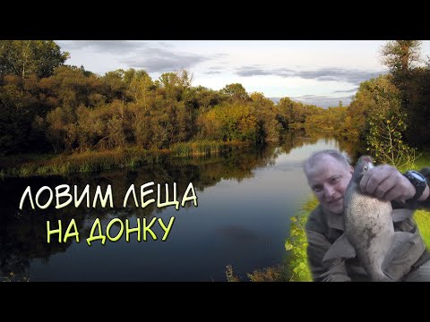 Видео: Ловля леща на Донки Крокодил. Пенопласт с чесноком Рулит!