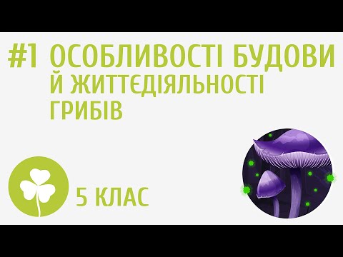 Видео: Особливості будови й життєдіяльності грибів #1