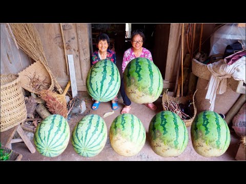 Видео: Огромный арбуз урожая | Праздник арбуза с традиционной китайской загородной кухней