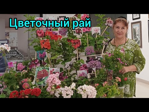 Видео: 89.Где мы нашли чудесный цветочный рай🥀🌻🪻🌷