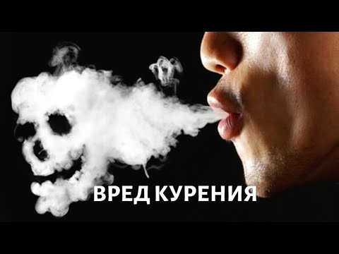 Видео: Табак. Вопросы выживания