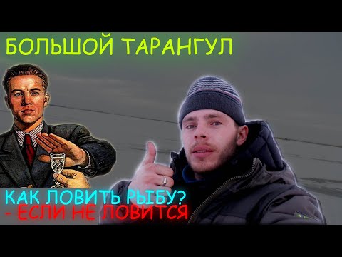 Видео: ПРИЕХАЛ ЗА СУДАКОМ, НО НЕ ТУТ ТО БЫЛО - озеро БОЛЬШОЙ ТАРАНГУЛ (КОРНЕЕВКА)