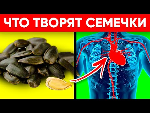 Видео: ВОТ ЧТО ТВОРЯТ СЕМЕЧКИ! (Реальная Польза и Вред Семечек Подсолнуха)
