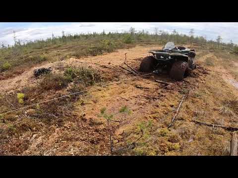 Видео: Квадроцикл СОКОЛ ПРО в г. Когалыме - сидим в болоте, лебедке кирдык...