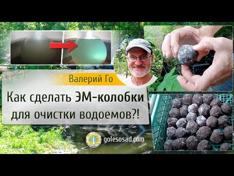 Видео: Как сделать ЭМ-колобки для очистки водоемов? (EM-mud balls)