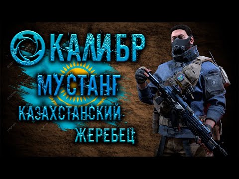 Видео: Калибр ● Мустанг - казахстанский жеребец! ● Обзор оперативника!