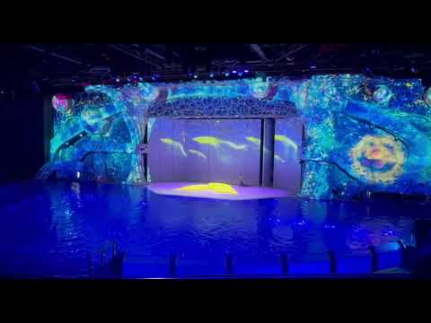 Видео: 30 октября 2025 г.